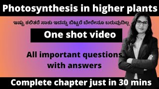 Photosynthesis in higher plants in kannada one shot  important questions biologyinkannada [upl. by Eillat]