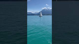 📍Thunersee Switzerland 📸🇨🇭 nature travel asmr [upl. by Eirtemed]