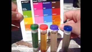 How To Test Your Soil  Gardening  Soil Testing Kit [upl. by Colt]