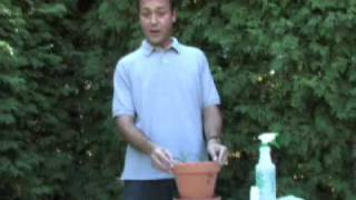 CanadianGardeningcom presents Propagating Conifers [upl. by Allebram]