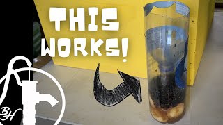 Homemade Fly Trap [upl. by Volnay313]