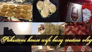 chicken shami kbab with prawn karahi Pakistani house wife busy routine vlog shaguftahassan143 [upl. by Enirolf]