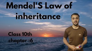 MendelS Law of Inheritance in urduHindi  Class 10th chapter 6 [upl. by Rolyt]