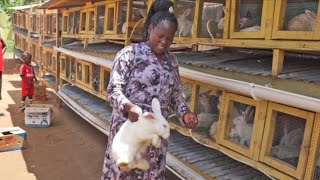 Rabbit Queen  Making the Million  EASILY Rabbit Farming [upl. by Nahsez]