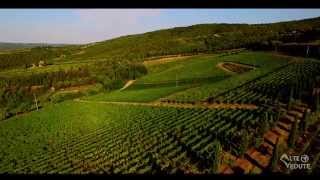 Tuscany  Chianti  Montalcino  Montepulciano [upl. by January]