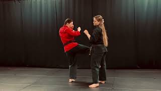 Defanging the Snake Kenpo Grab Defense [upl. by Ingelbert917]