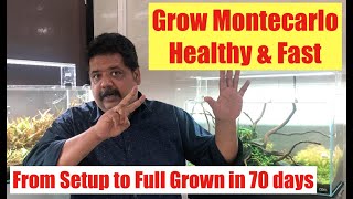 How to Grow Montecarlo Aquarium plant  Aquasoil Amazaonia Ver2  Growing Montecarlo Plant  Final [upl. by Yednarb402]