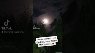 Full moon outside guest house Vaadhoo Gaafu Dhaalu Atoll Maldives 🇲🇻 travel maldives [upl. by Remlap]