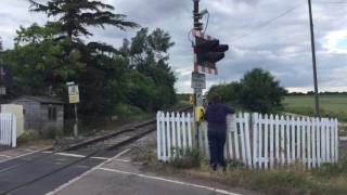 Barway Sidings Level Crossing Cambs Saturday 24062017 [upl. by Jourdan]