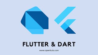 11 Flutter  Dart Déclarer une variable avec le mot clé Dynamic dans le langage Dart [upl. by Nylhtac]