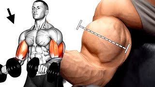 Most Brutal Bicep Exercises For Biceps  Full Workout [upl. by Atteuqnas426]