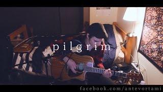 Pilgrim  Fink Cover [upl. by Neleh]