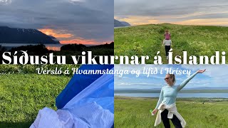 Síðustu tvær vikurnar á Íslandi  Útilega á Hvammstanga og kveðjum Hrísey í bili🏕️ [upl. by Yanahc]