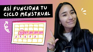 Todo sobre tu CICLO MENSTRUAL🩸 Descubre como calcular los días de tu ciclo y aliviar los síntomas [upl. by Takeo911]