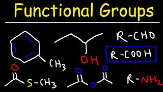 Functional Groups [upl. by Torbert491]