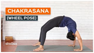 Chakrasana for Beginners  How to Do Chakrasana  Chakrasana Step by Step  Wheel Pose for Beginners [upl. by Dorran]