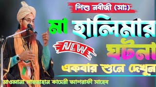 শিশু নবীজী মা হালিমার ঘটনা  Shah Jahan qadri Jalsa  Shah Jahan qadri  New Waz 2024shah jahan [upl. by Sankaran765]