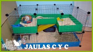 COMO HACER UNA JAULA C Y C PARA COBAYAS CONEJOS  CHINCHILLAS CUYOSCOBAYO CUY CampC CAGE [upl. by Hunley]