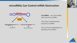 BIOL201 Ch165  Eukaryotic PostTranscriptional Gene Regulation [upl. by Casta]