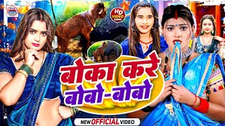 Video  बोका करे बोबो बोबो  Boka Kare Bobo Bobo  Arkestra Song Bobo Bobo  bo bo bo bo bobo song [upl. by Marsland]