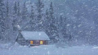 Die Schneesturmatmosphäre Mit Dem Kalten Heulen Des Winters Hilft Ihnen Schnell Einzuschlafen [upl. by Bigg]