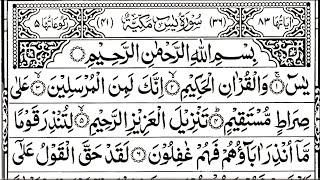 Surah Yaseen  Yasin Shareef  Episode11  Surah Rahman Surah Baqarah Surah Waqia Surah Mulk Ayat [upl. by Juliana149]