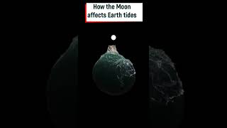 How moon affects ocean tides [upl. by Laurice203]