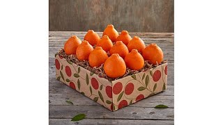 Hale Groves Honeybell Oranges 1 Tray [upl. by Ahcsas]