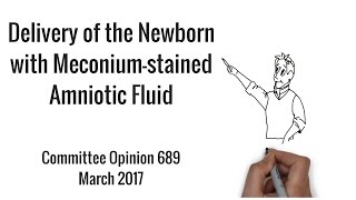 Intrapartum Management of Meconium Stained Fluid DE OBGYN Resident Lecture Series with James Manley [upl. by Gnut]