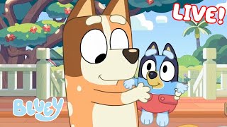 🔴LIVE Best of Bluey Series 2  FULL EPISODES  Bluey [upl. by Lamarre]