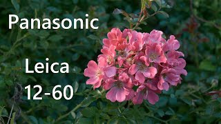 Panasonic Leica 1260 test  GH5  4k [upl. by Bremer]