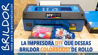 ¿¿Qué IMPRESORA DTF merece la pena COMPRAR [upl. by Enilorak]