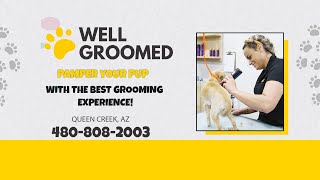 Well Groomed Pets  Queen Creek AZ [upl. by Skilken]