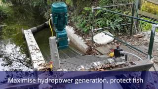 GoFlo Screen  Kenningstock Mill Hydropower System [upl. by Hplodur]