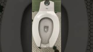 267 EARSPLITTING ProFlo Carlton toilet at Buca di Beppo in Cincinnati Ohio [upl. by Critta]