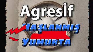 Agresİf  Haşlanmış Yumurta [upl. by Sekyere]