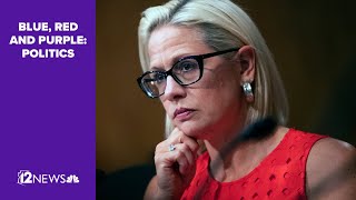 Arizona Sen Sinema wont seek reelection [upl. by Shotton]