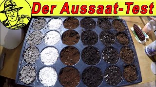 Aussaat in Kokos Perlite Kaffee und Wolle 😮 Mit Daniella und Englischunterricht [upl. by Kepner]