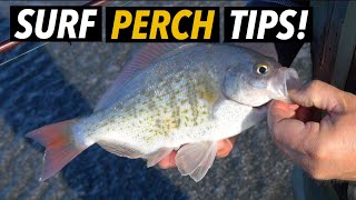 Surf Fishing Tips for Perch 4K [upl. by Drusi]