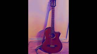 A Fender Acoustic Horizon [upl. by Cheadle454]