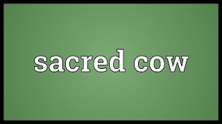 Sacred cow Meaning [upl. by Tjon]