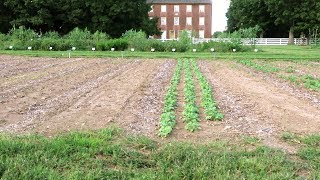 Perfectly Preserved  A Shaker Village From The 1800s [upl. by Ahtnamys]