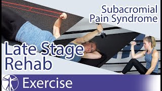 Subacromial Pain Syndrome SAPS  Late Phase Eccentric Rehab [upl. by Kraska]