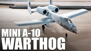 EFlite UMX A10 Warthog  REVIEW [upl. by Alrahc445]