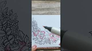 Colour Radiance Alcohol Markers [upl. by Aynatahs221]