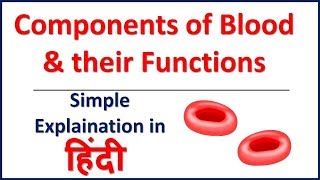 The Components of Blood and Their Functions  Bhushan Science [upl. by Lavinie605]