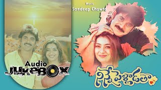 Ninne Pelladatha Telugu Songs Jukebox  Nagarjuna Tabu  Sandeep Chowta  ilovesongs90s [upl. by Patrizius]