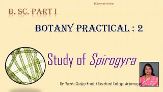 Spirogyra practical  Dr Varsha S Khude  botanical Studies [upl. by Deehsar55]