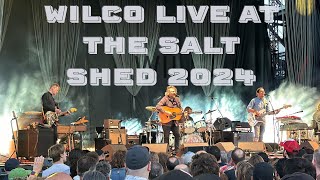 CONCERT REVIEW SERIES Wilco Live  The Salt Shed 2024 [upl. by Alliber]