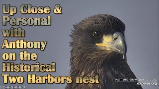 Up Close amp Personal with Anthony on Historical Two Harbors Nest  62523  Exploreorg [upl. by Haleeuqa]